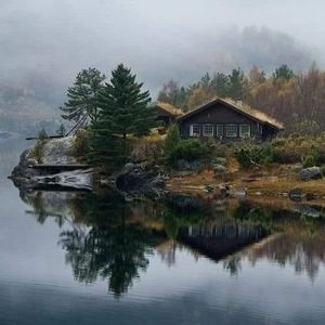 Meet your Posher, Annie